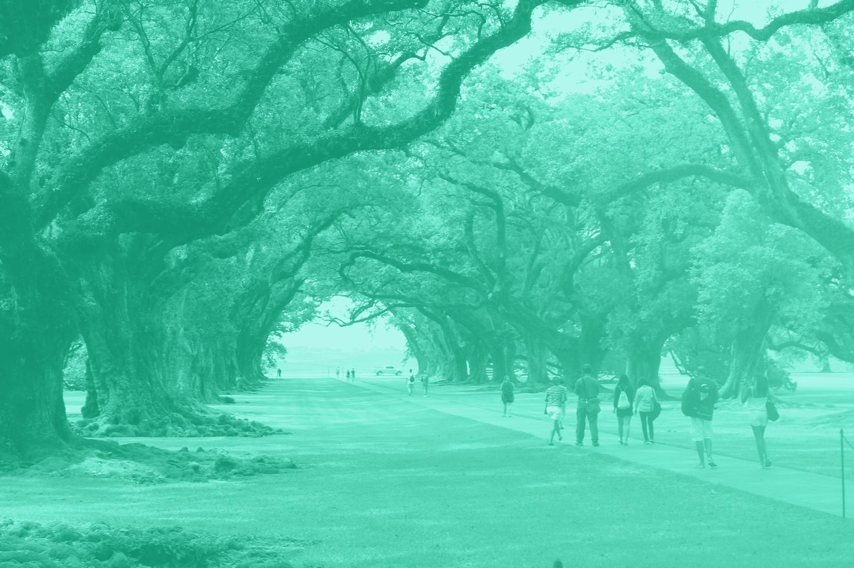 People walk along a path lined with large trees in a park, located near the Louisiana industrial corridor.