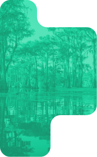 A swamp landscape with tall trees reflected in still water, tinted greenish-blue, evokes the Louisiana chemical industry’s presence.